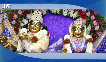 Upcoming Festival